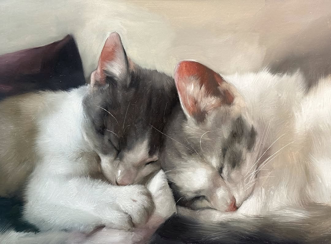 Cats & Dogs with Jen_Art!!!