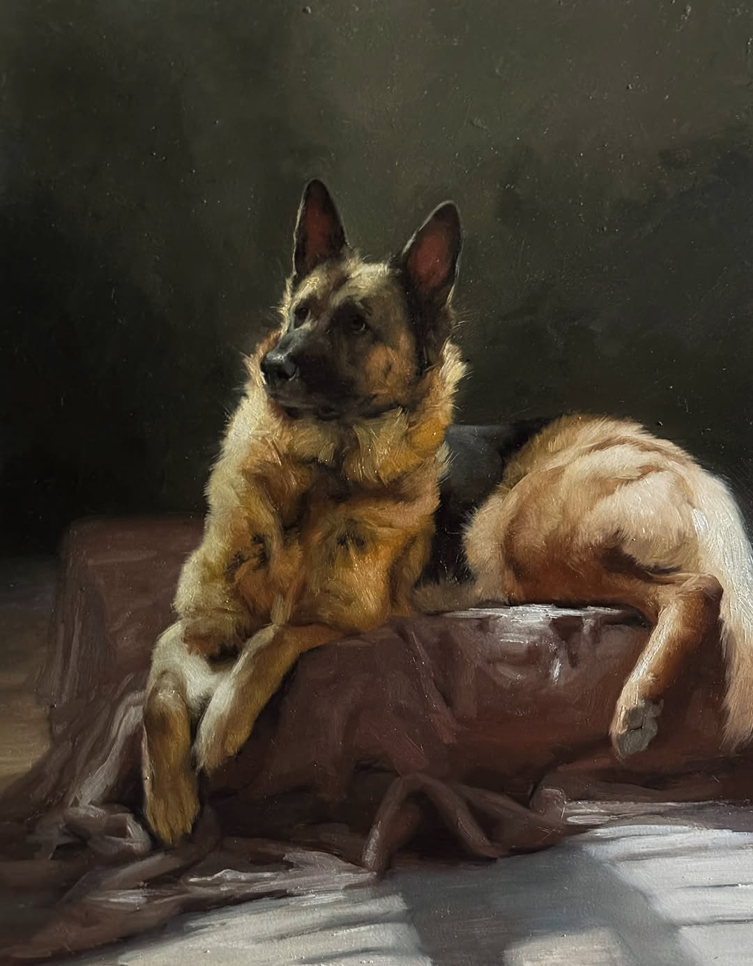 Cats & Dogs with Jen_Art!!!